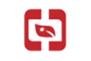 香港公司注册NNC1操作指引